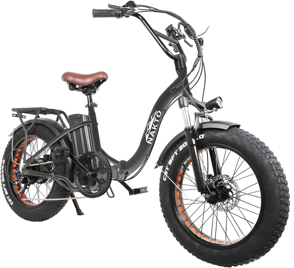 20" x4.0 Fat Tire 500W 48V/12Ah Removable Battery Electric Bike X34423