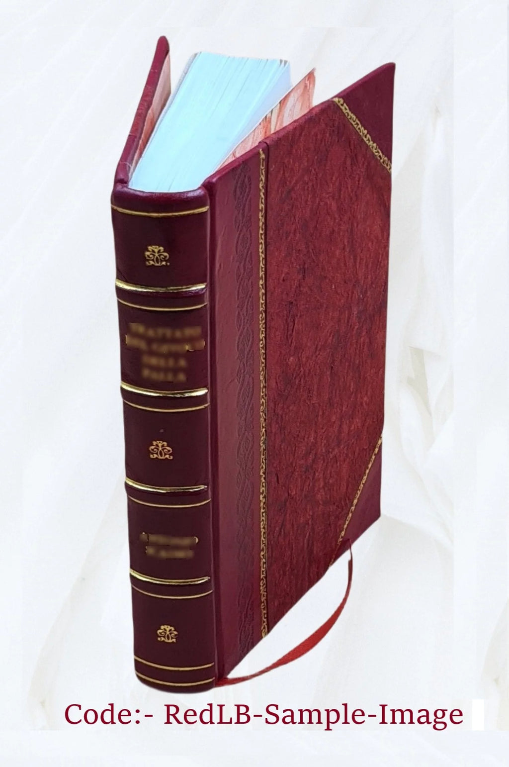 1906 Astoria City and Clatsop County Directory [Leather Bound] S48541