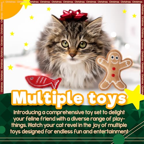 2 Set Cat Toys with Catnip G70736