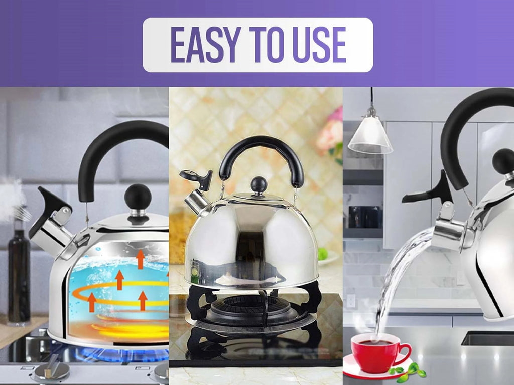 Stainless Steel Whistling Tea Kettle N34274