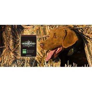 Active 26K Formula Dry Dog Food B20398