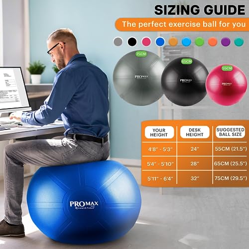 Exercise Ball T624584