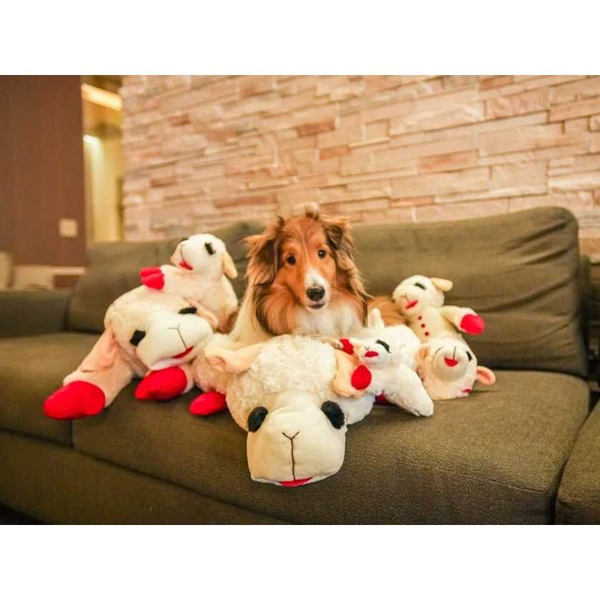 Lamb Chop Dog Bed O25201