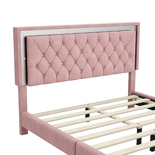 Queen Size Velvet Upholstered Platform Bed with 2 Nightstands Z5554