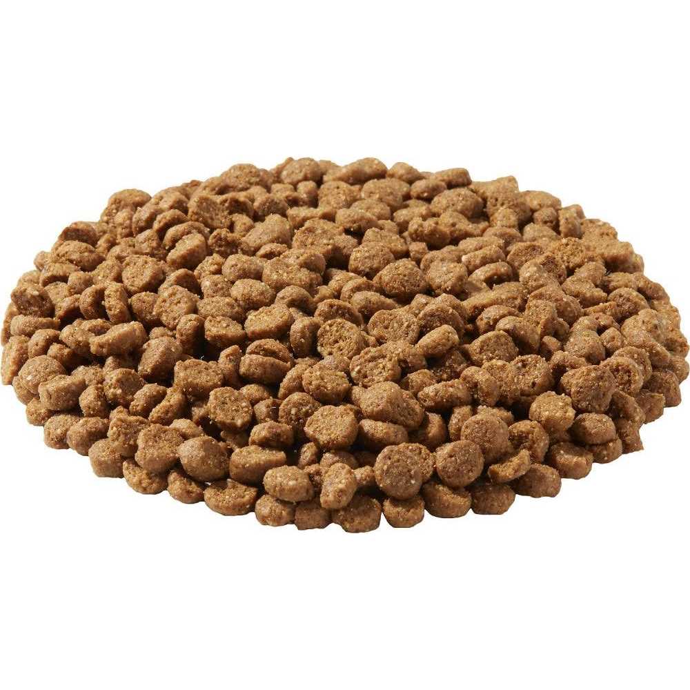 Active 26K Formula Dry Dog Food B20398