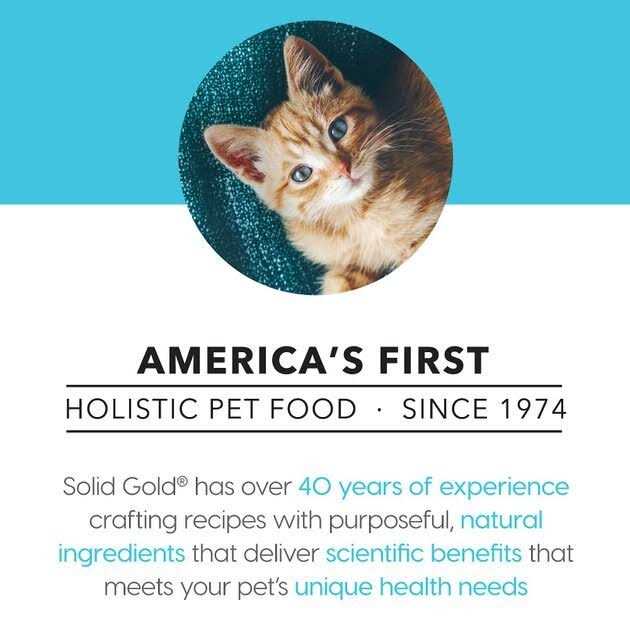 Canned Cat Food Tuna Recipe in Gravy C939640