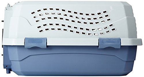 2-Door Top-Load Hard-Sided Pet Travel Carrier, Gray & Blue, 22.8"L x 15.0"W x 13.0"H T797354