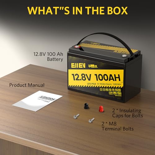 12V 100Ah LiFePO4 Battery with 100A BMS S1482