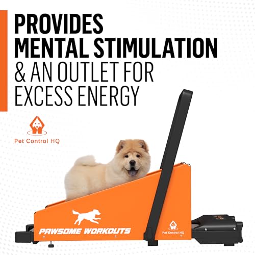 Dog Treadmill for Small and Medium Dogs Y4536