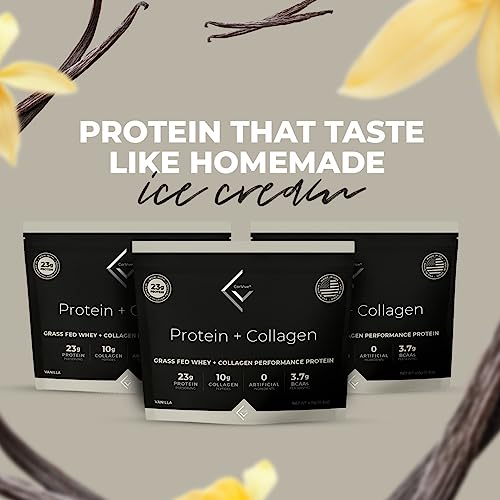 480 Grams Pack of 15 Chocolate Whey Collagen Protein E30329
