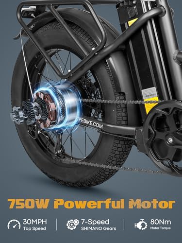 20.8Ah Removable Battery 750W Motor 7 Speed 20 x 4.0 Fat Tire Electric Bike S6354