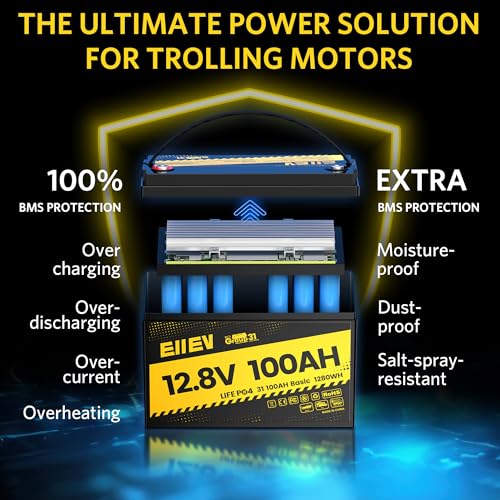 12V 100Ah LiFePO4 Battery with 100A BMS S1482