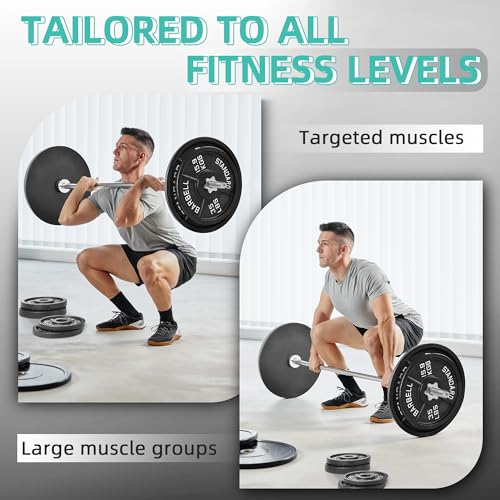 95 Lbs Cast Iron Standard Barbell Weight Set with Barbell Bar G116502