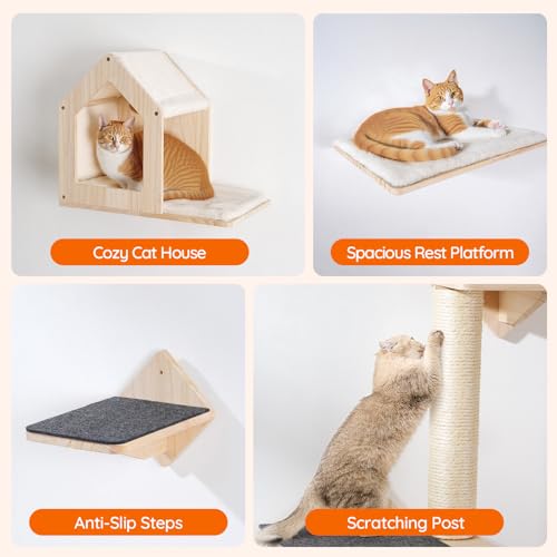 Natural Wood Cat Wall Shelves Set of 5 with House Steps Scratching Post Perch K6004
