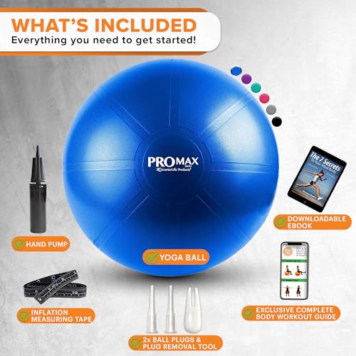 Exercise Ball T624584