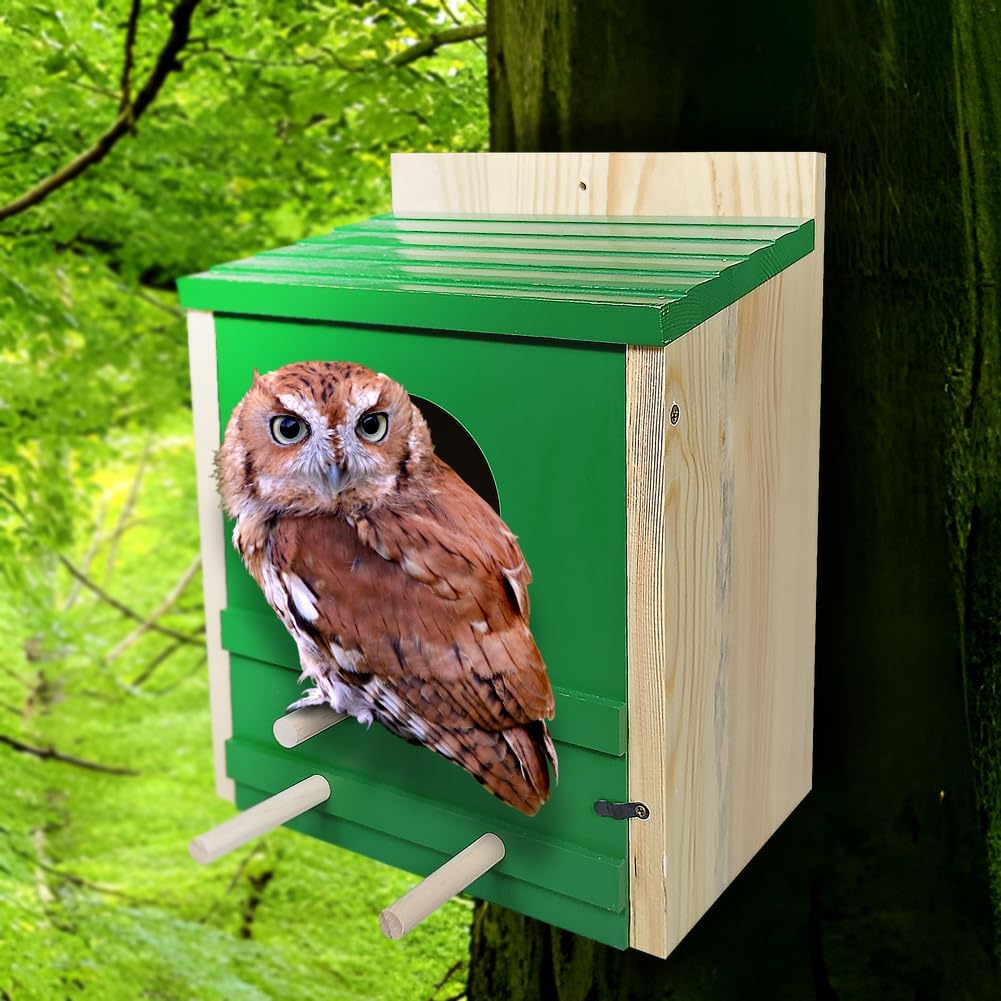 Cedar Wood Owl House P19016