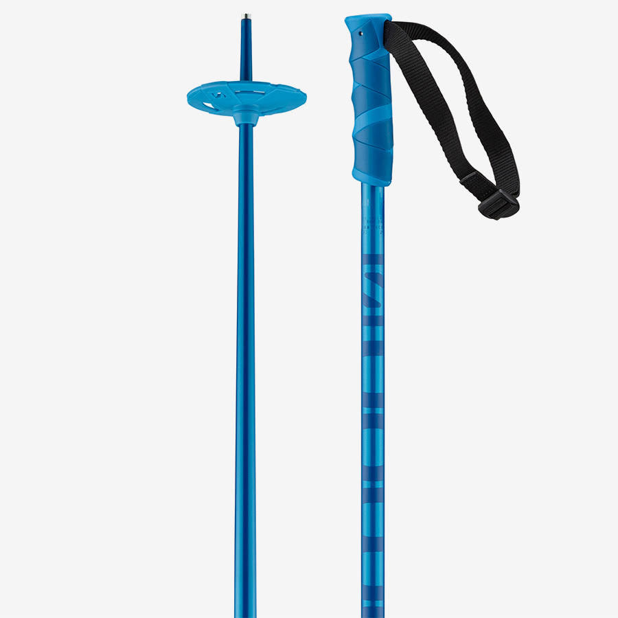 Ski Poles V93830