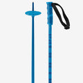 Ski Poles V93830