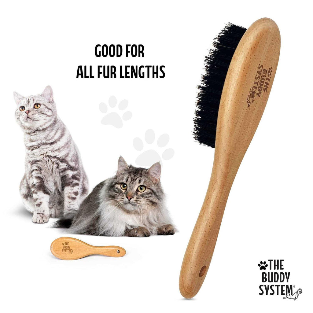 Cat Brush with Boar Bristle and Wooden Handle B945