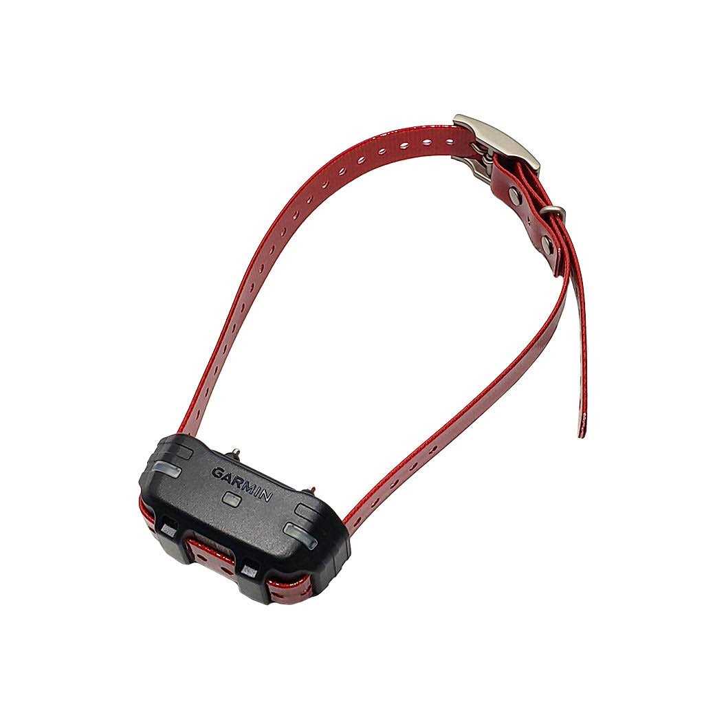 Dog Device Collar J898173
