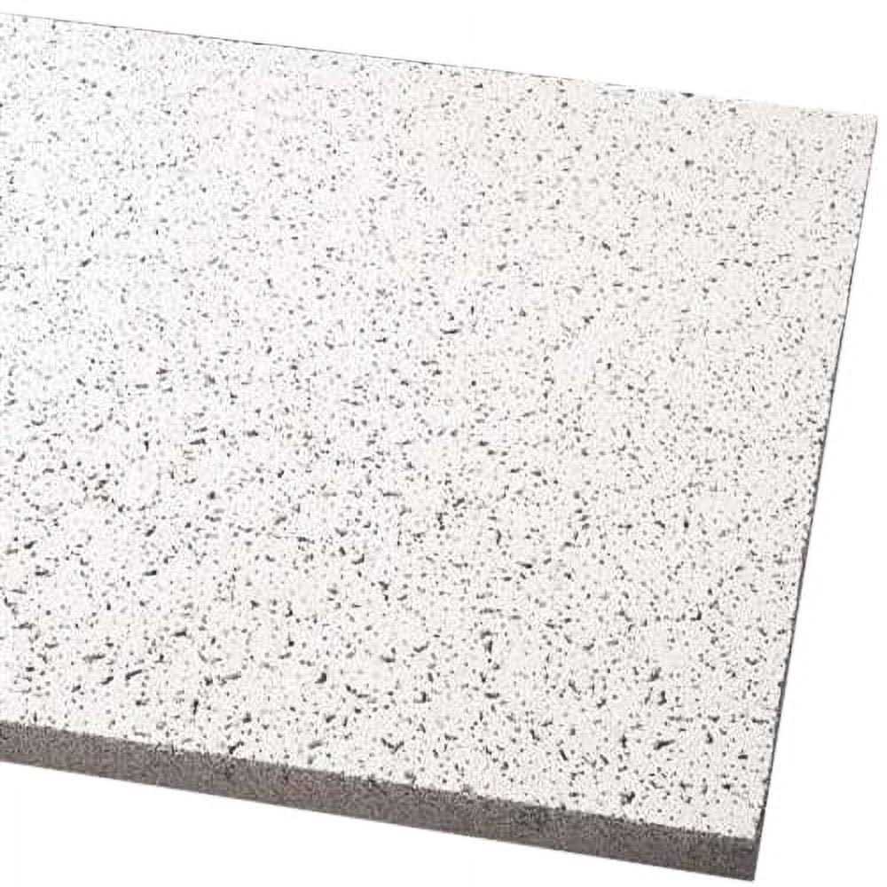 24 in x 24 Ceiling Tile S890161