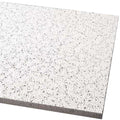 24 in x 24 Ceiling Tile S890161