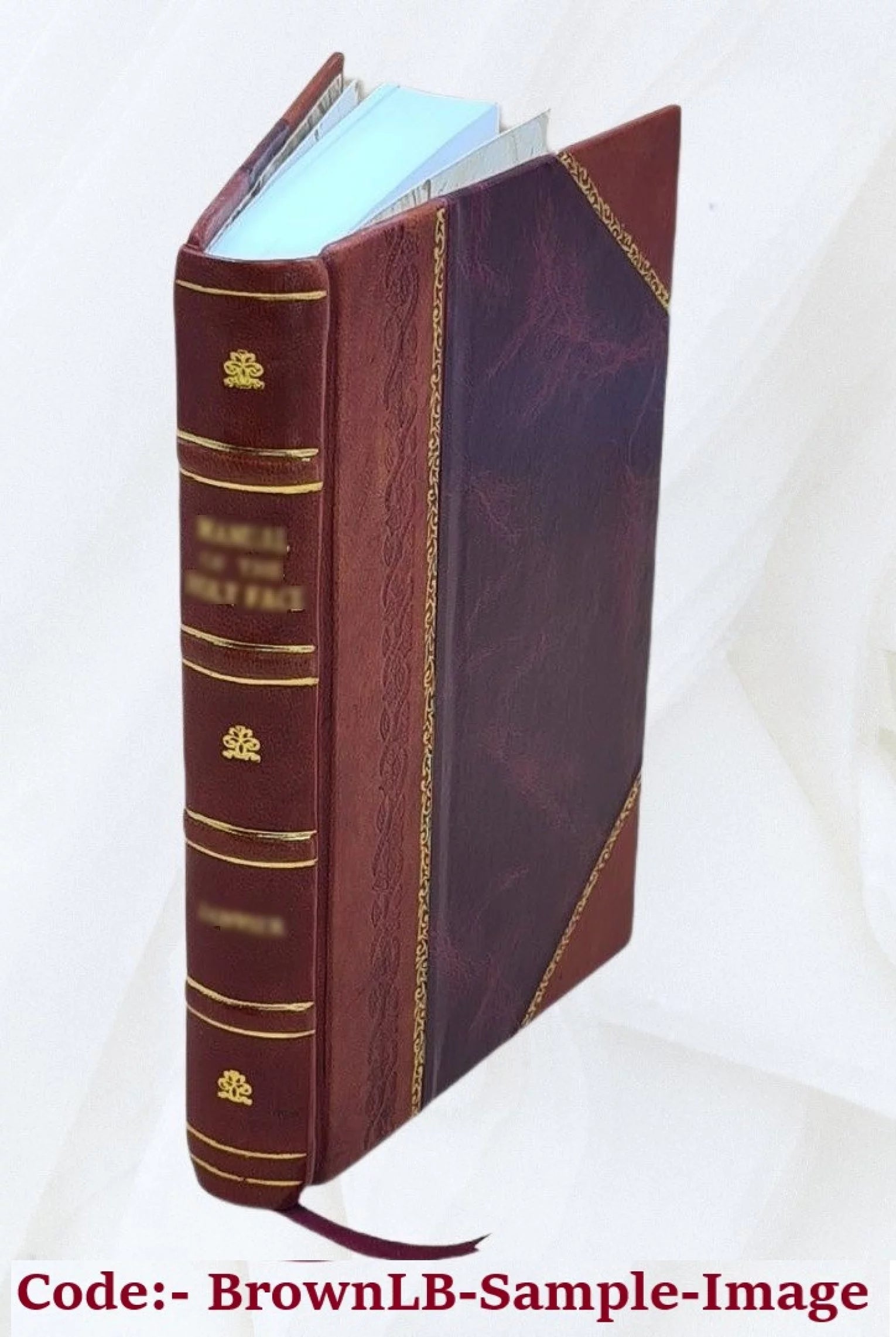 1906 Astoria City and Clatsop County Directory [Leather Bound] S48541