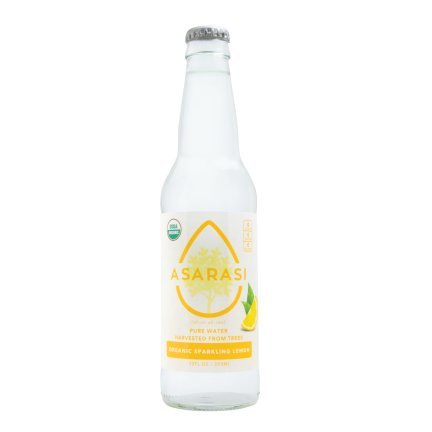Organic Sparkling Tree Water 4 Flavor Variety Pack 12 Pack V87076