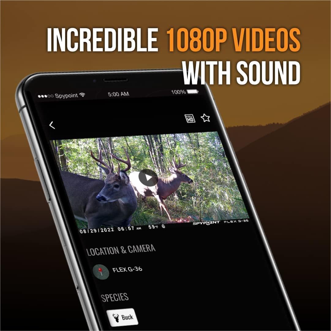 Twin Pack Cellular Trail Camera with 36MP Photos and 1080p Videos X154