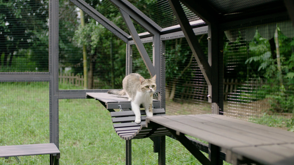 110'' Extra Large Wooden Catio Cage with Roof Cover Y224