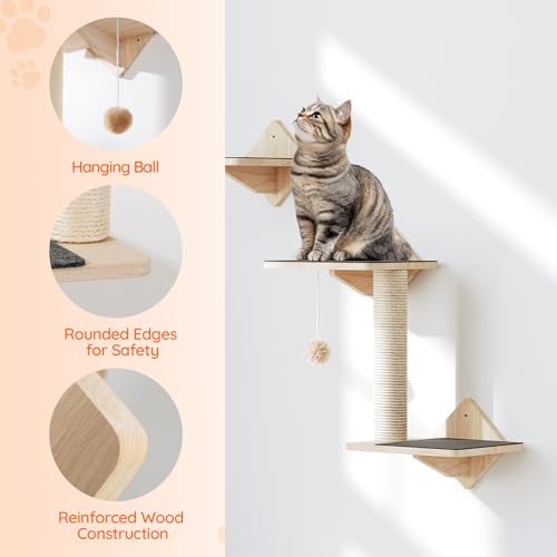 Natural Wood Cat Wall Shelves Set of 5 with House Steps Scratching Post Perch K6004