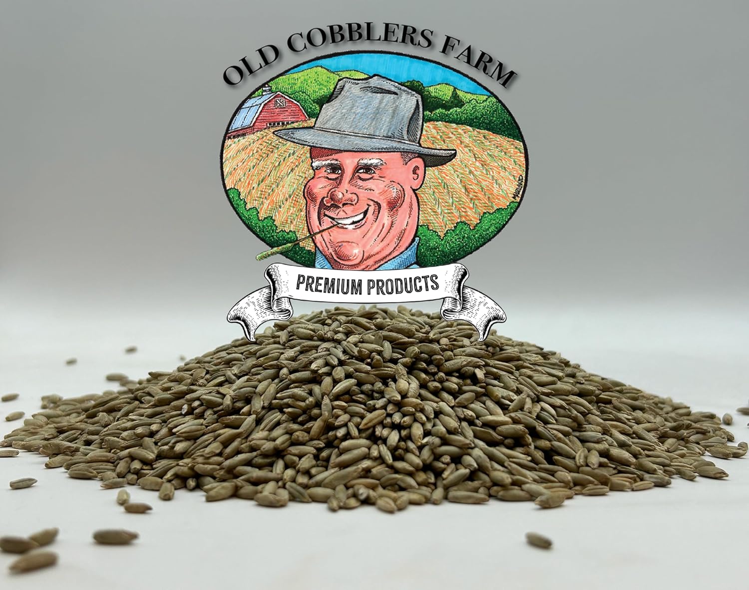 5lbs Fall Rye Grass Seed Mix R167261