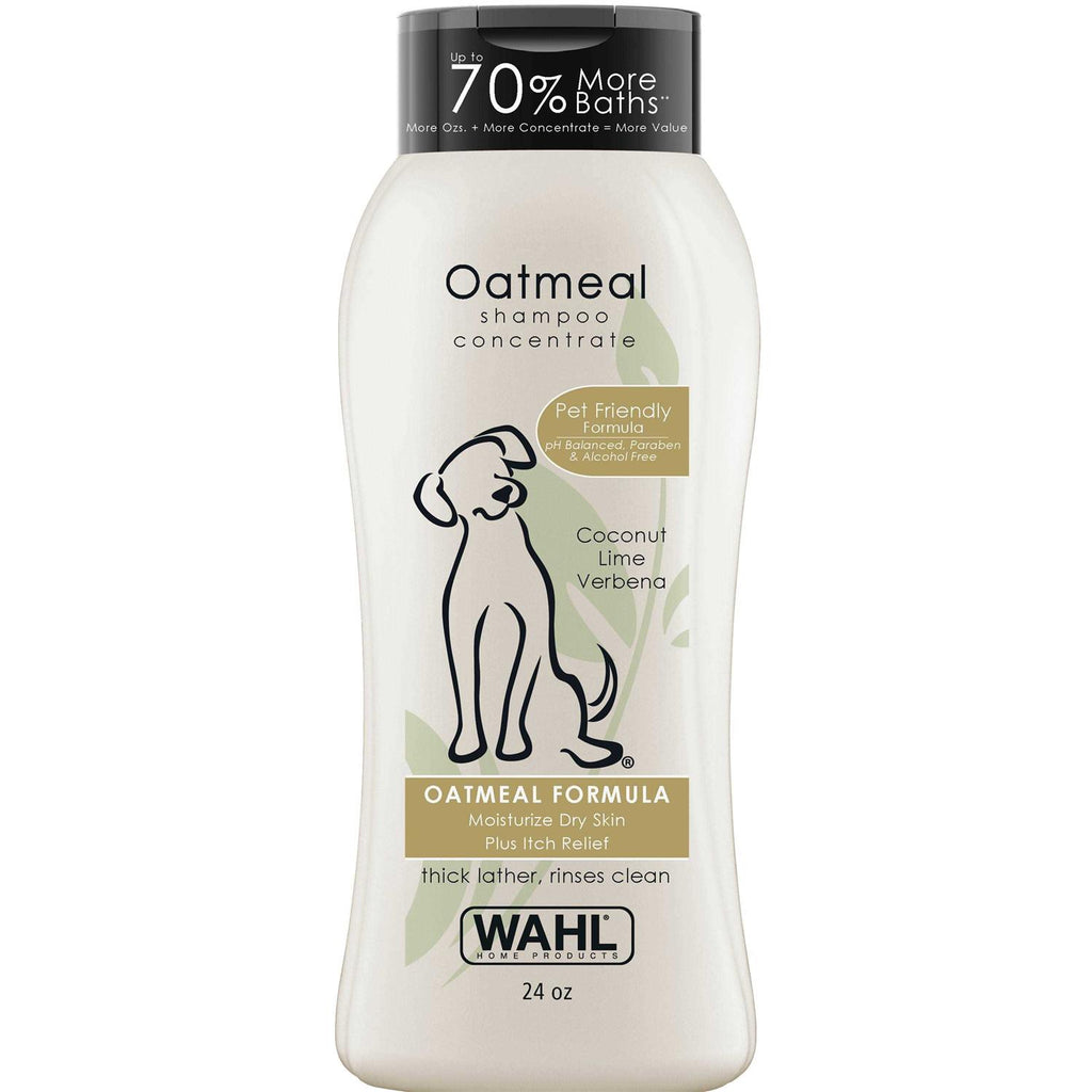 Oatmeal Coconut Lime Verbena Shampoo Concentrate I932