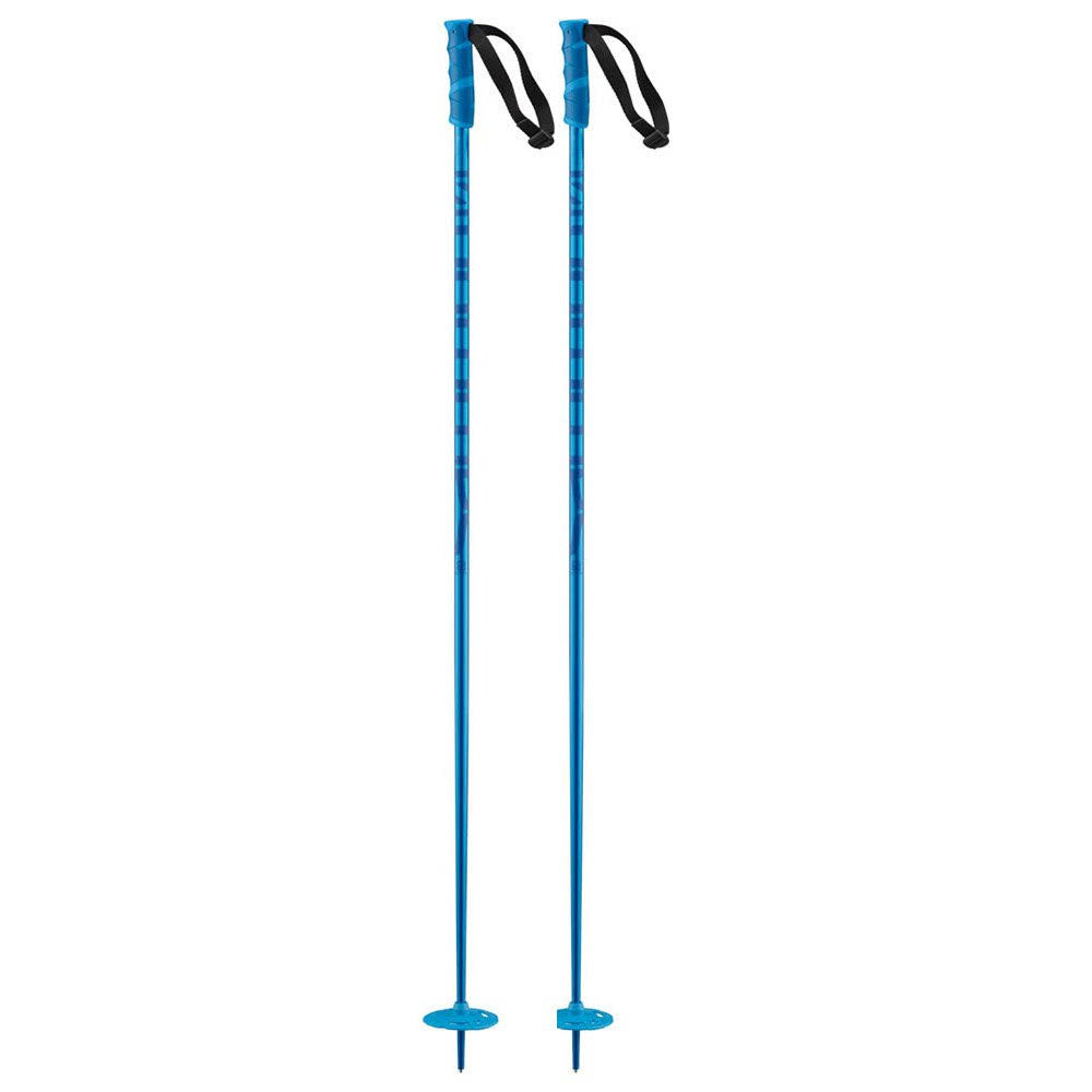 Ski Poles V93830