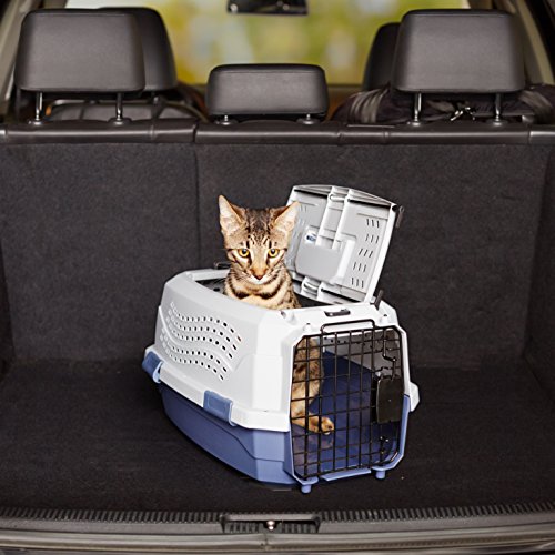2-Door Top-Load Hard-Sided Pet Travel Carrier, Gray & Blue, 22.8"L x 15.0"W x 13.0"H T797354