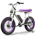 Peak 750W 25MPH Electric Bike with 20" Fat Tires and Front Suspension Y612868