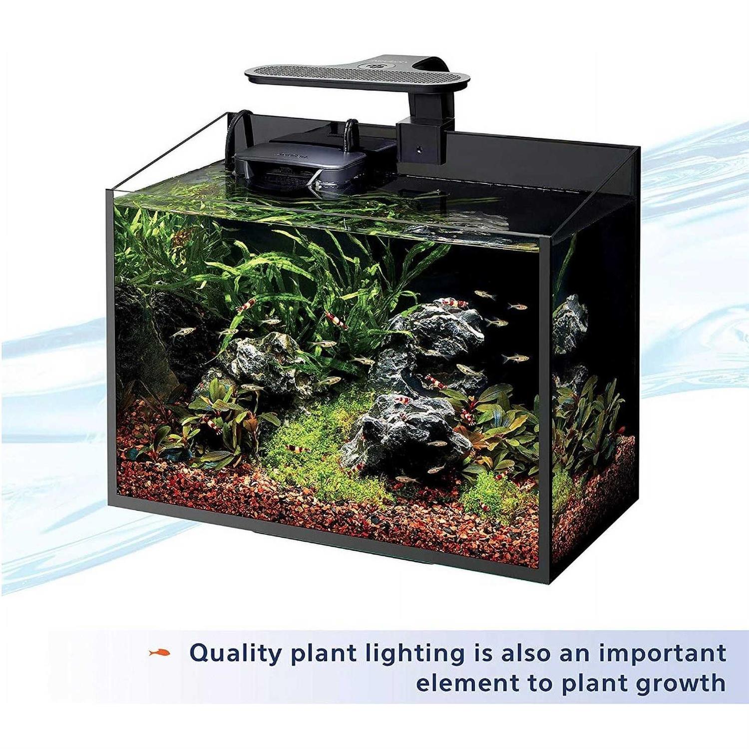 Aquarium Food Plant M859160