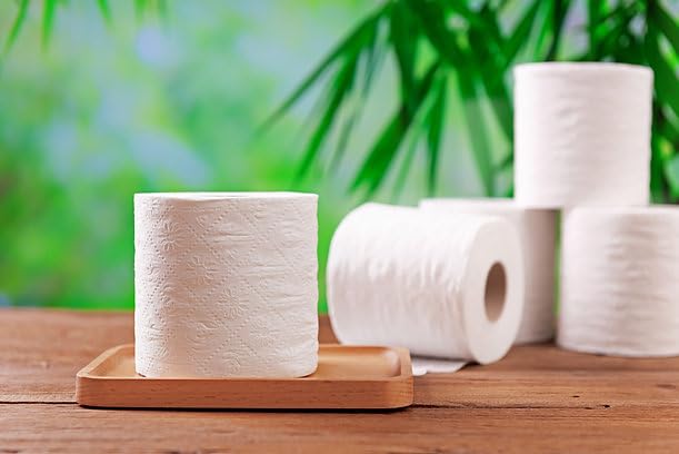 24 Rolls 2-Ply Bamboo Toilet Paper J238668