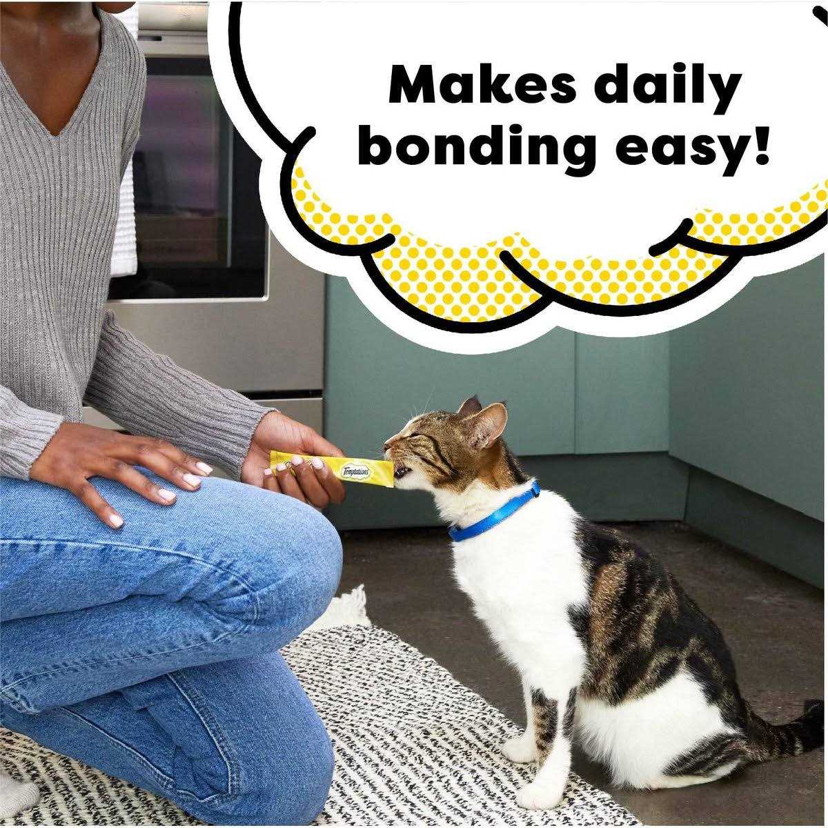 Creamy Puree Lickable Cat Treats Y624721