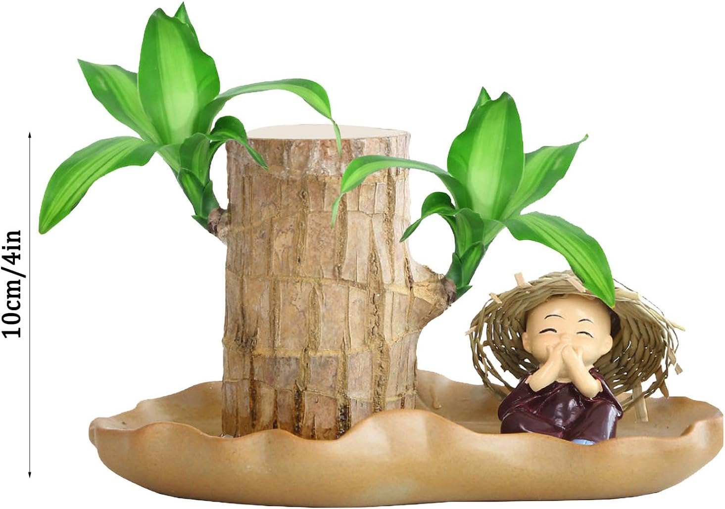 Brazilian Wood Plant I94126
